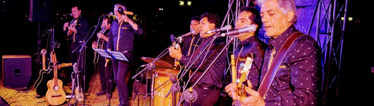 Sesiones en el Parque reunió a Puente Alto en torno a la música. 