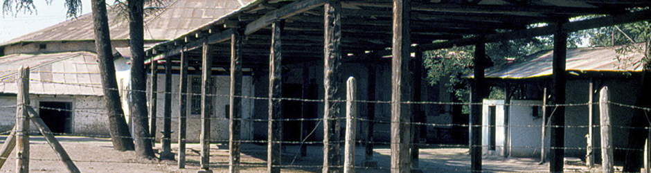 El Castellón, ex bodega de vinos Viña San Carlos