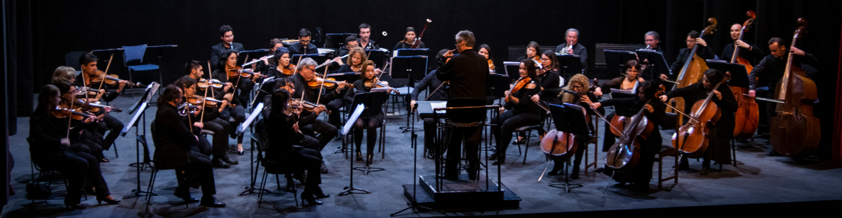 La Orquesta Clásica de la Universidad de Santiago, visitó Puente Alto con un didáctico concierto. 